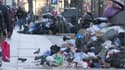 "Il ne manquerait plus que la peste maintenant!": Marseille croule sous des tonnes de déchets avec la grève des éboueurs