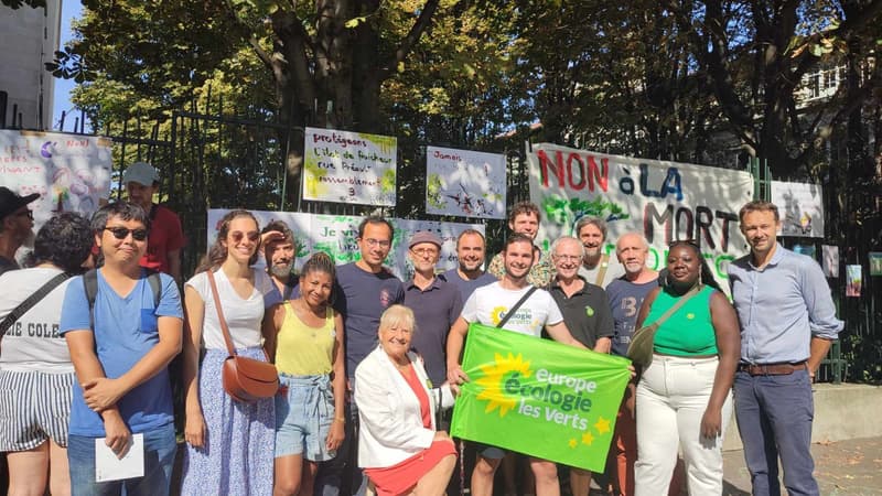 Une manifestation contre un projet d'abattage d'arbres pour agrandir une crèche dans le 19e arrondissement a eu lieu ce samedi.