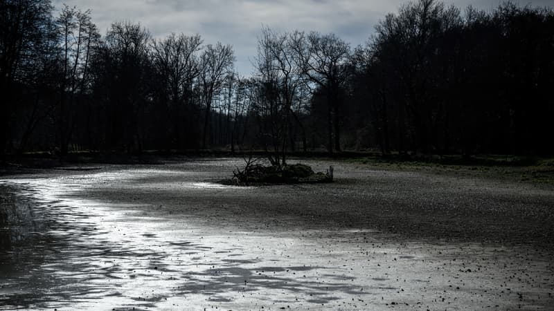 Le lac Fourcade, à moitié asséché près de Saint-Nexans, en Dordogne, le 14 février 2023