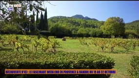 Découverte d'ici : le fascinant week-end en Provence & Bandol du 19 au 22 octobre