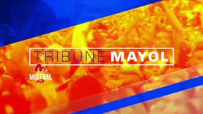 Tribune Mayol: l'émission du 13 juin avec Franck Azéma et Frédéric Bir