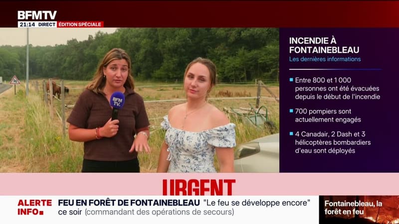 Incendie dans la forêt de Fontainebleau: "On ne peut prendre le risque de laisser des animaux", témoigne Cécilia Dubois, habitante qui aide à évacuer des animaux