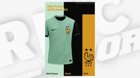 Le maillot extérieur que devraient porter les Bleus lors de la prochaine Coupe du monde.