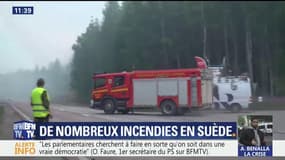 En Suède, déjà 20.000 hectares de forêt ravagés par des incendies