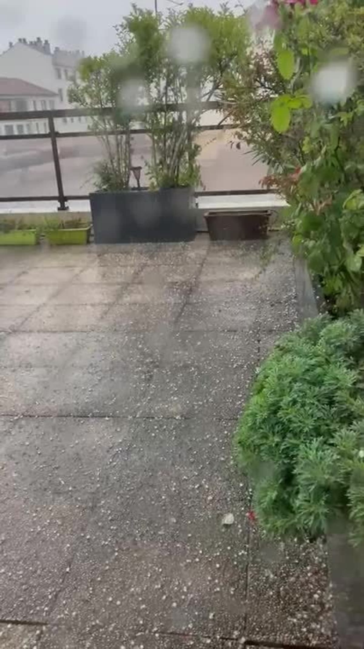 placeholder video