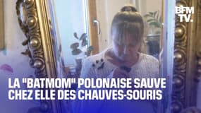 Barbara Gorecka alias "la Batmom" polonaise a décidé de soigner chez elle des chauves-souris 