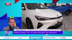 "Les petits budgets n'ont pas les mêmes problèmes que les Tesla" : la voiture électrique est-elle une aberration ?