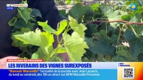 Les riverains des vignes surexposés aux pesticides