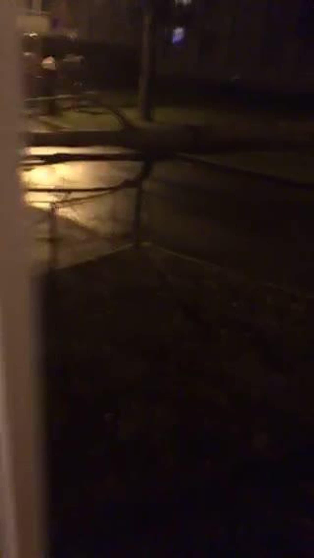 placeholder video