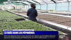 Confinement: la ruée dans les jardineries et les pépinières