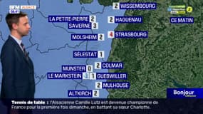 Météo Alsace: des nuages ce lundi, jusqu'à 12°C à Colmar et 13°C à Strasbourg