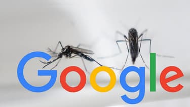Une carte interactive, des fonds levés et une collecte en interne, Google multiplie les initiatives pour lutter contre Zika