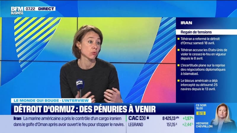 Détroit d'Ormuz : des pénuries à venir