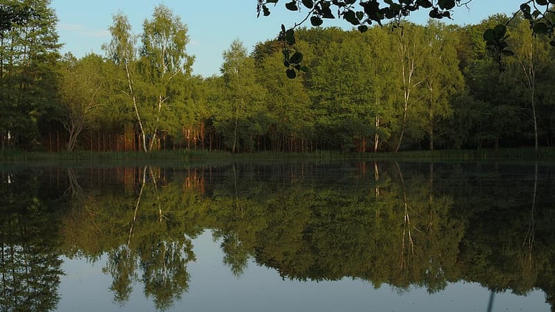 L'étang était interdit à la baignade depuis 2014 (photo d'illustration)