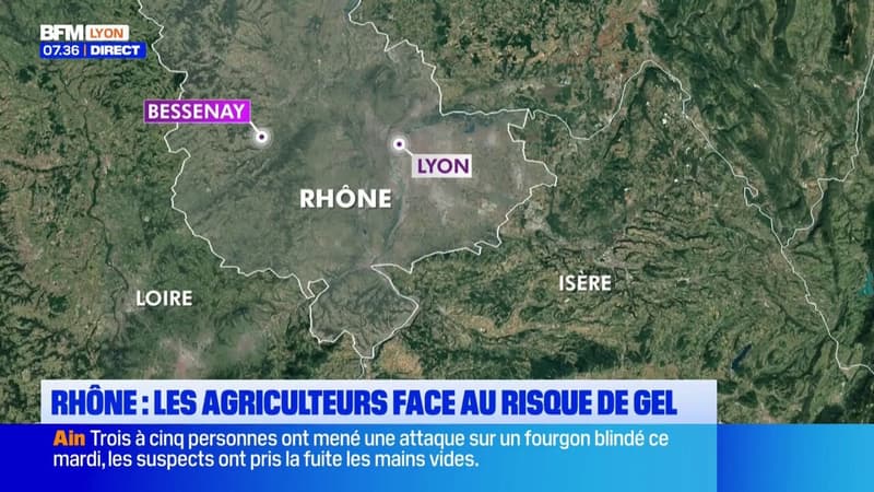 Rhône : Les agriculteurs face au risque de gel