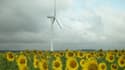 Le parc éolien français installé était de plus de 7.500 mégawatts fin 2012.