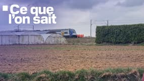 Le lundi 17 mars, les deux militaires se trouvaient dans leur véhicule à l'arrêt sur le passage à niveau lors de la collision avec un TER à Bailleul-sir-Berthoult (Pas-de-Calais).