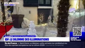 Ile-de-France: le dilemme des illuminations pour Noël 