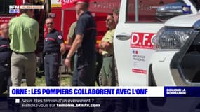 Orne: les pompiers collaborent avec l'ONF