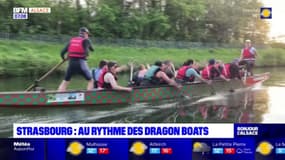 Strasbourg: le dragon boat, un bateau où l'on rame au rythme des tambours