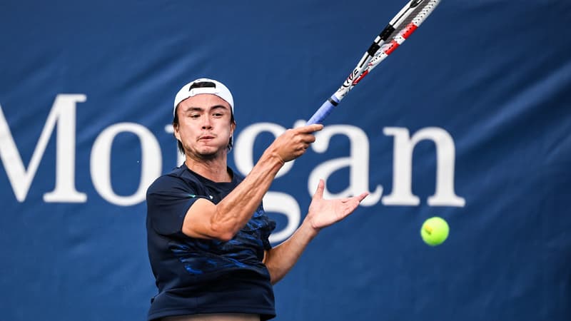 Taro Daniel