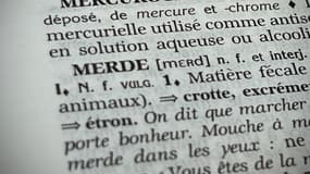 Le mot "merde" dans le dictionnaire (photo d'illustration).