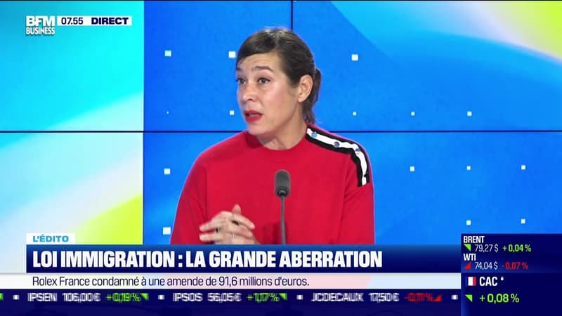 Emmanuelle Souffi : Loi immigration, la grande aberration - 20/12