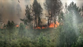 Incendie à Landiras (Gironde) le 13 juillet 2022