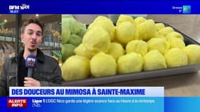 Sirops, gourmandises...les mets au mimosa font sensation à Sainte-Maxime