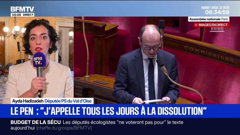 Budget de la sécu : "Dans sa très grande majorité, le groupe va voter pour" déclare Aida Azade, députée socialiste
