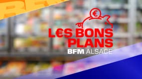 Les bons plans BFM Alsace