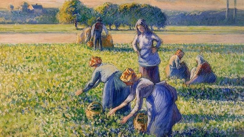 "La Cueillette" de Pissarro.