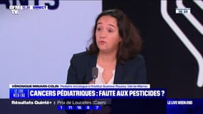 Cancers pédiatriques  : faute aux pesticides ? - 13/10