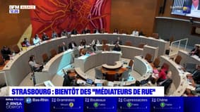 Strasbourg: bientôt des médiateurs de rue dans le centre-ville pour réduire les incivilités