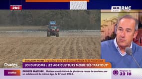 Acétamipride/Loi Duplomb : "Il faut lever les distorsions de concurrence" 
