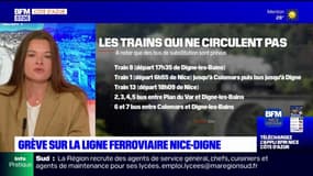 Des trains supprimés sur la ligne Nice-Digne après une grève des cheminots