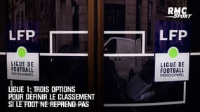 Ligue 1: Trois options pour définir le classement si le foot ne reprend pas 