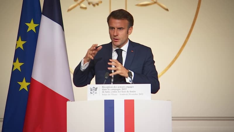 Incendies: Emmanuel Macron annonce la création d'une 