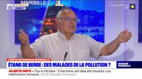 Incendie à Vitrolles: quelles conséquences sur la qualité de l'air?