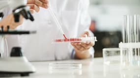 La technique de la biopsie dite "liquide" est de plus en plus répandue pour étudier les cancers.