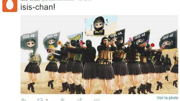 Les Anonymous cherchent à décrédibiliser l'action des militants de Daesh. Les Anonymous cherchent à décrédibiliser l'action des militants de Daesh.