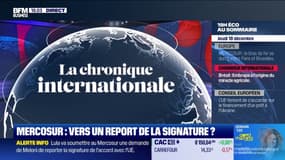 Le miracle agricole brésilien : l’histoire d’EMBRAPA