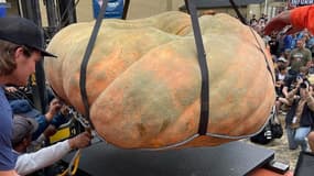 Une citrouille gigantesque de plus d'une tonne a battu en Californie le record de la plus grosse cucurbitacée au monde, lundi 9 octobre 2023