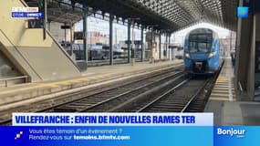 Lyon: une semaine après sa disparition, le chien Mowgli a été retrouvé