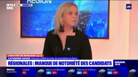 Fontière France-Belgique: pour la députée Catherine Osson, elle "protège plus les criminels"