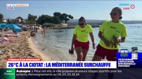 Bouches-du-Rhône: la mer Méditerranée en surchauffe