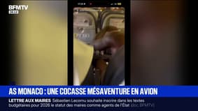 Ligue des champions: un problème de climatisation dans l'avion oblige les joueurs de l'AS Monaco à reporter leur voyage vers Bruges