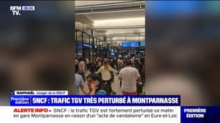 Paris: le trafic TGV fortement perturbé au départ et à l'arrivée de la gare Montparnasse en raison "d'un acte de vandalisme"