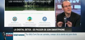 La chronique d'Anthony Morel: Digital détox, un moyen efficace pour apprendre à survivre sans son smartphone - 30/06