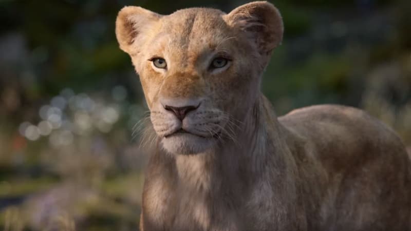 Nala dans Le Roi Lion (2019).